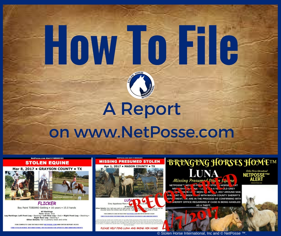 store/pages/2238/How To File A Report.jpg